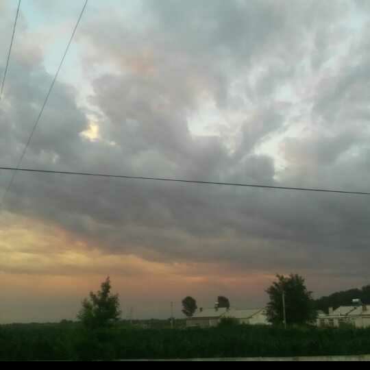 关于阅读《午夜醒来听沉默》的思考