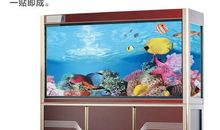 水族箱（鱼缸）广告语