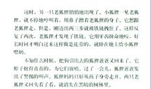 金色的脚印续写