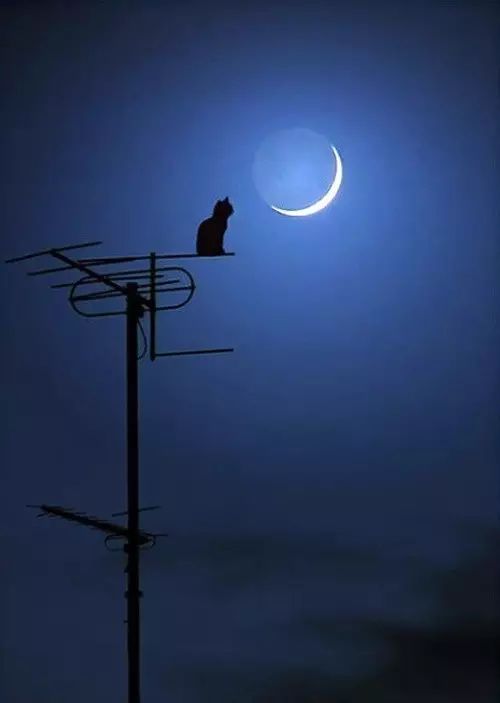 信心,成功道路上不可多得的力量