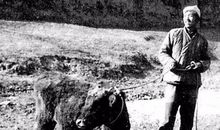 史铁生：故乡的胡同