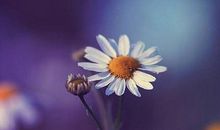 10句经典语录，句句犀利，说得真好