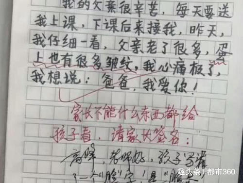 凌乱的成分