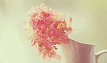 摘抄美文美句300字