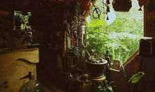 季羡林：温馨，家庭不可或缺的气氛