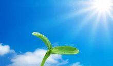 关于感悟生命的作文