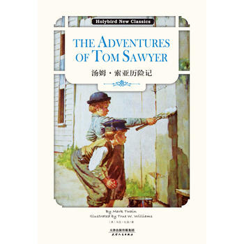 汤姆·索亚历险记(续)