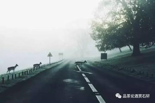 认真生活的人,生活永远不会对你不好