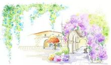 经典语录：今天我爱你，比昨天多，但不如明天