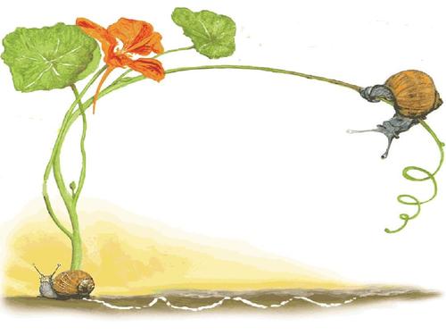 蜗牛的奖杯不断