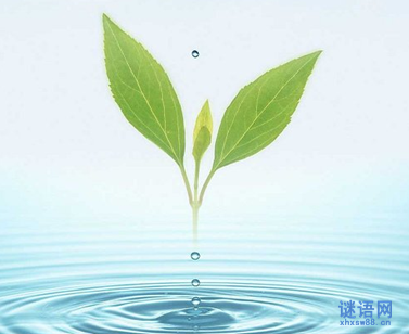 精选149条珍爱生命的名言