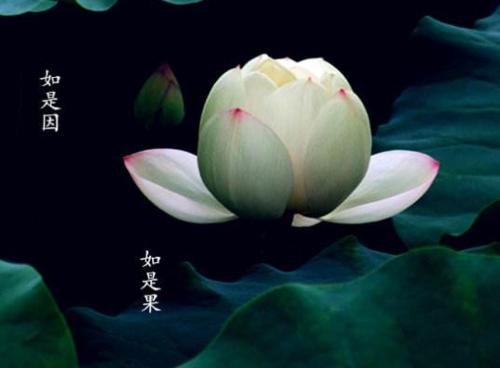 关于因果关系的句子