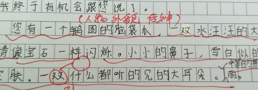 一个很好的部分描述您的外观