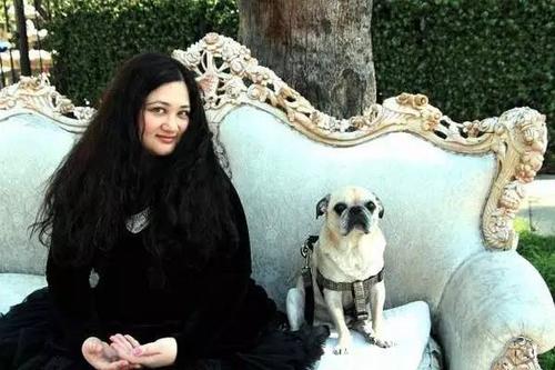 看完《海岛》之后