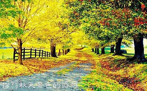 关于春天风景的诗