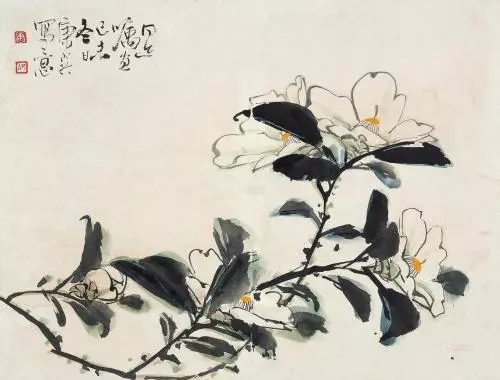 习慕容：白色山茶花与欣赏