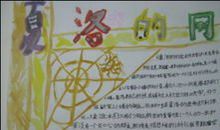 夏洛的网读后感50字