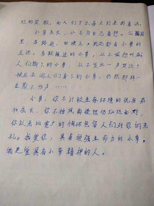 四年级作文：给朋友的一封信