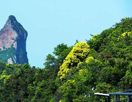 李白:梦游天堂的祖母尹离开