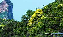 李白：梦游天姥吟留别