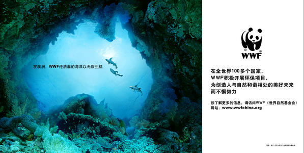 慈善基金会公益公告