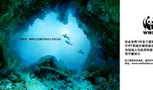 慈善基金会公益广告语