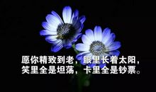 朋友圈经典语录，送给有故事的你！