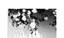 好听的句子大全