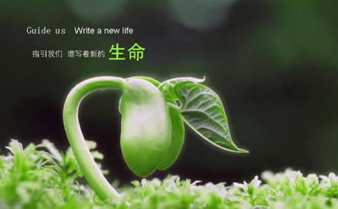 关于生活的名言集