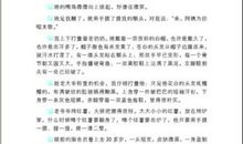 圣诞节作文好词好句