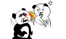 谢谢你们曾经嘲笑我