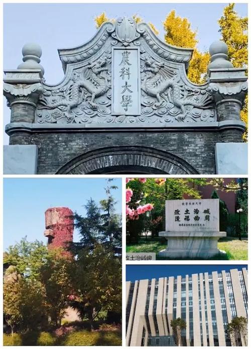 我的梦想中国梦演讲稿500字