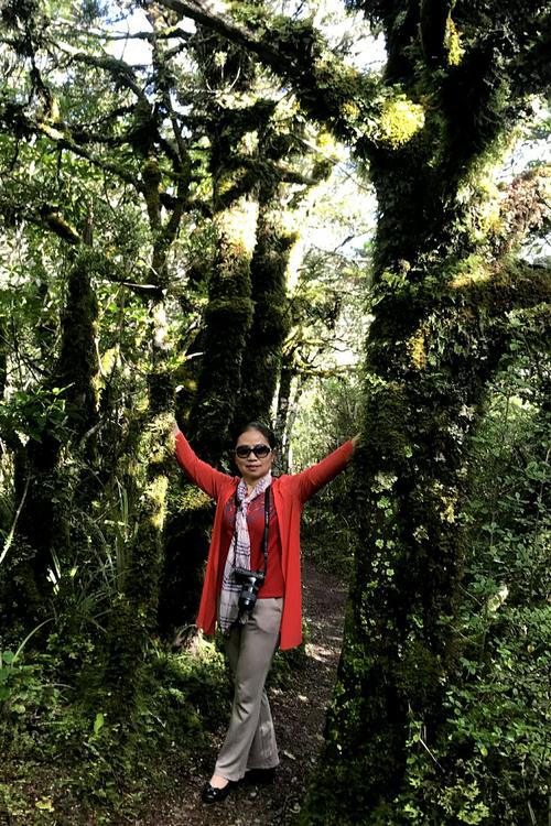 北岛：是的，昨天