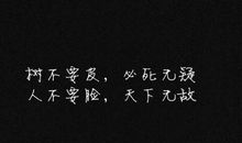 世界最美的句子