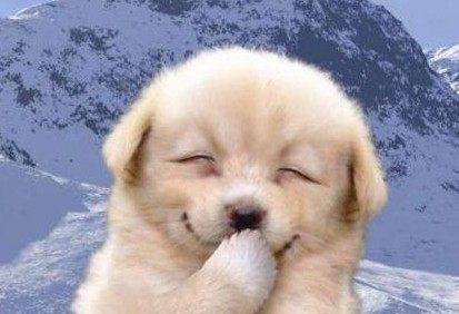 练习我悲伤的事情：跌倒的眼泪