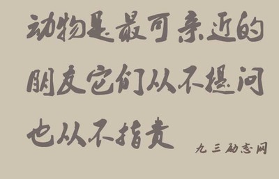 关于动物的名言