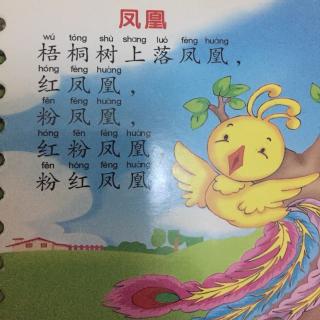 坊坊张贴凤舌绕口令