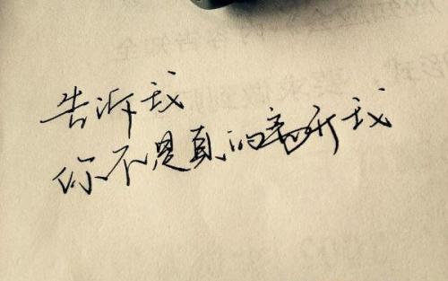 摘自优美的句子和段落