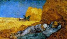 一个人的村庄读后感