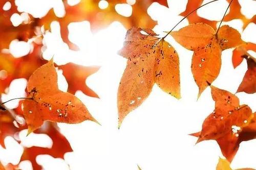 石铁生：秋雨连绵