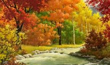 写秋景的优美句子