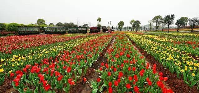 查慎行:从遵鹿向东站到Lux西