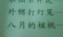 外甥打灯笼歇后语