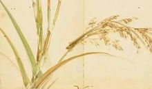 诗经：中谷有蓷