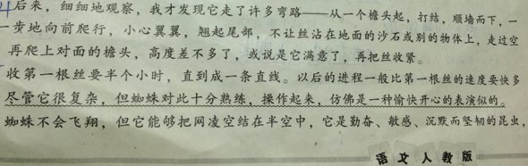 连续动作的句子