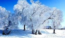 关于冬天的诗歌