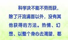 关于老人的名言