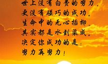 成功是没有秘诀的，只有努力的实践