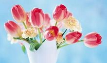 是什么让你放弃安逸，选择为梦想放手一搏？