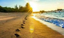 走得太近，是场灾难